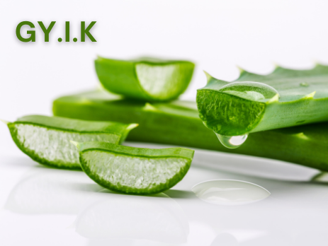 Eredeti aloe vera GYIK